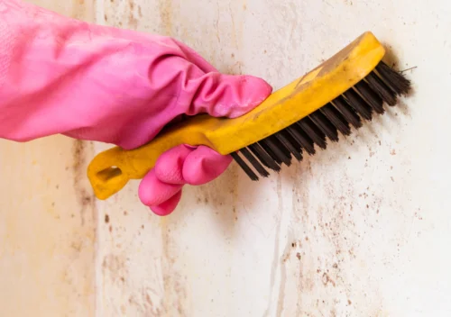 Remove Stains From Walls