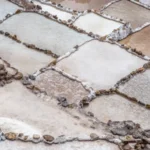 How to Remove Mold From Pavers