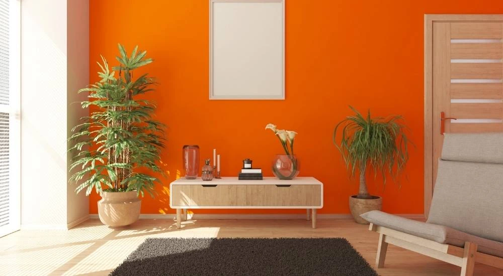 Potted Plant + Jute Rug + Ceramic Vases