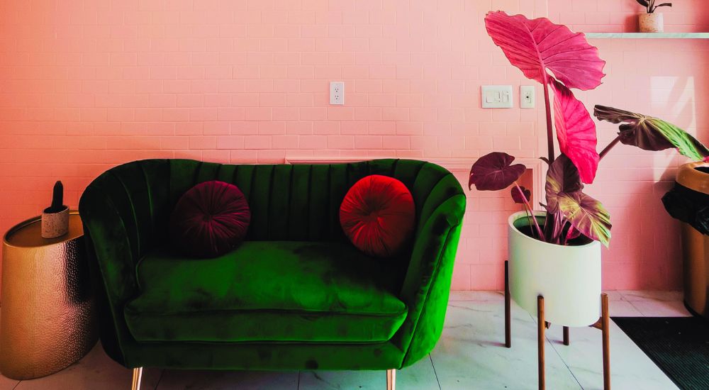 Subtle pink walls with sage green sofas