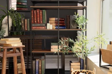 The "Inside the Bookshelf" Cubby